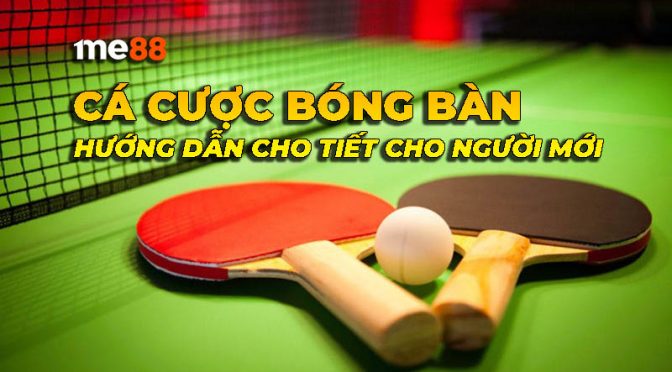 Tổng quan về Vbo99, Cổng thông tin trò chơi hàng đầu châu Âu - Vbo99