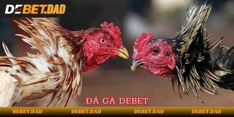 Ko66 Games có giấy phép kinh doanh hợp lệ - Ko66