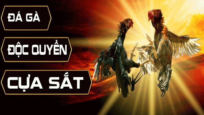 Thông tin dịch vụ khách hàng K9win Sic Bo - K9win