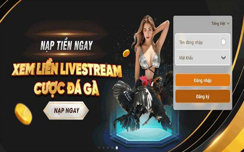 Giới thiệu Kế hoạch Quảng bá Me88 - Me88