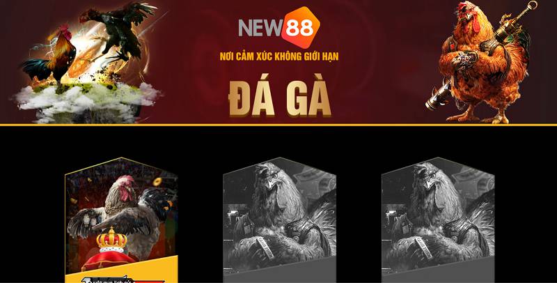 Tại sao người chơi lại chọn chơi một trò chơi câu cá có xếp hạng Kimsa88? - Kimsa88