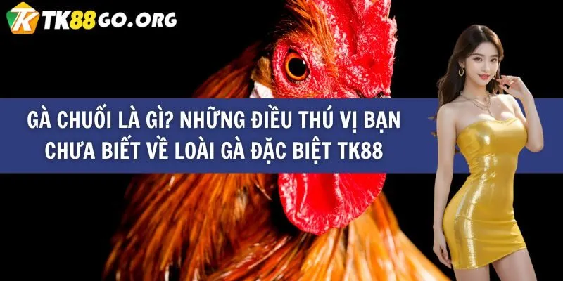 Một thư viện game phong phú thuộc hàng K8vn - K8vn