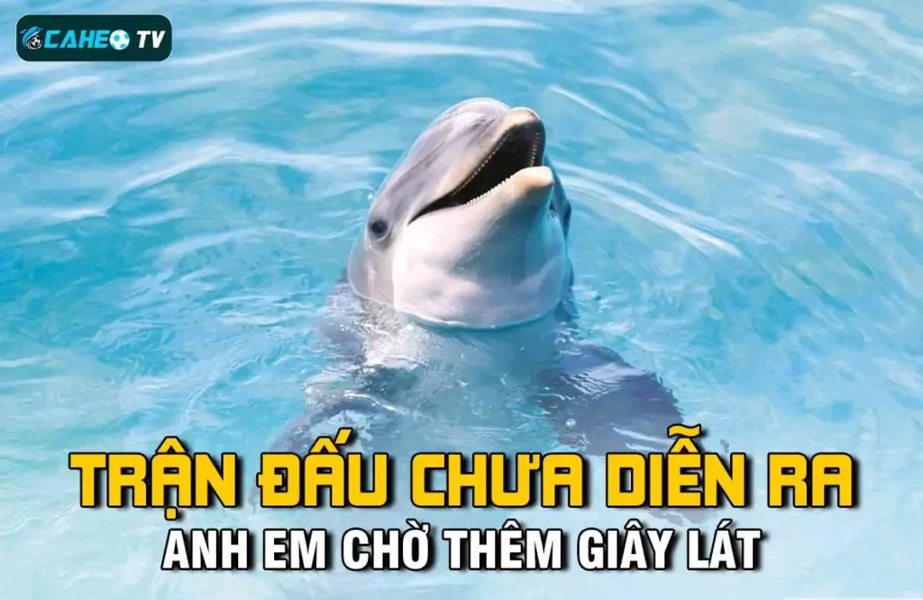 Tác động đến hoạt động và tài chính của One789 - One789
